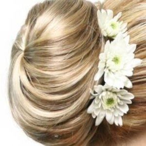 JON RENAU EASIHAIR ELEGANCE in 27MB Strawberry Shortcake